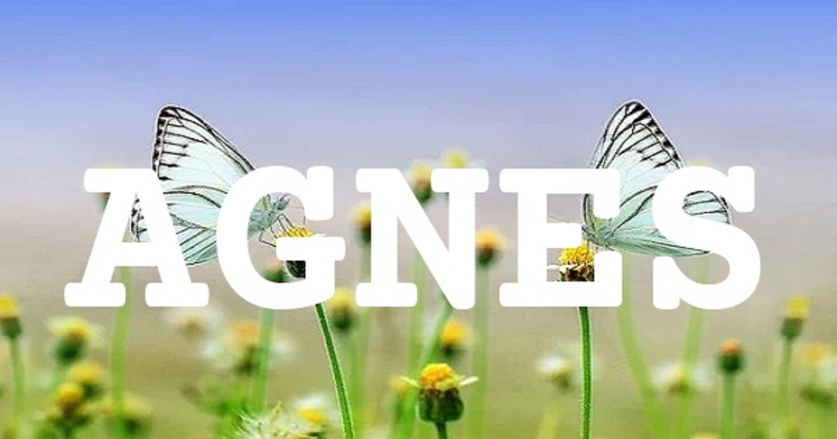 AGNES 英文名字意義