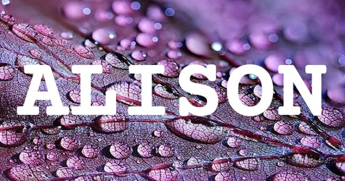 ALISON英文名字意思
