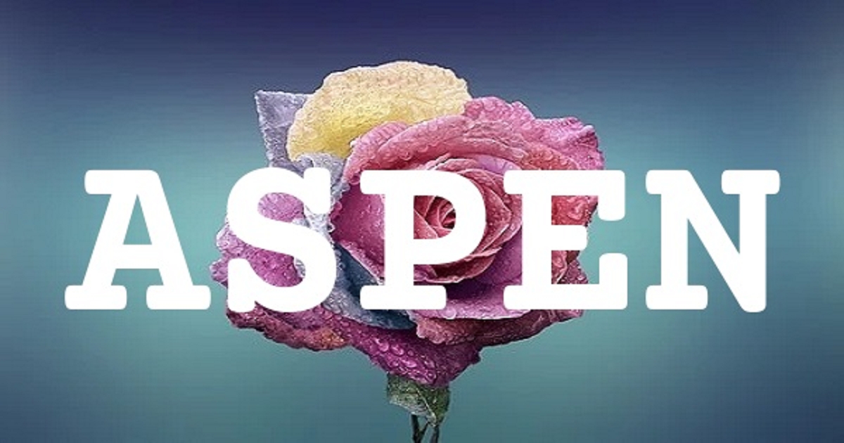 ASPEN 英文名字意義