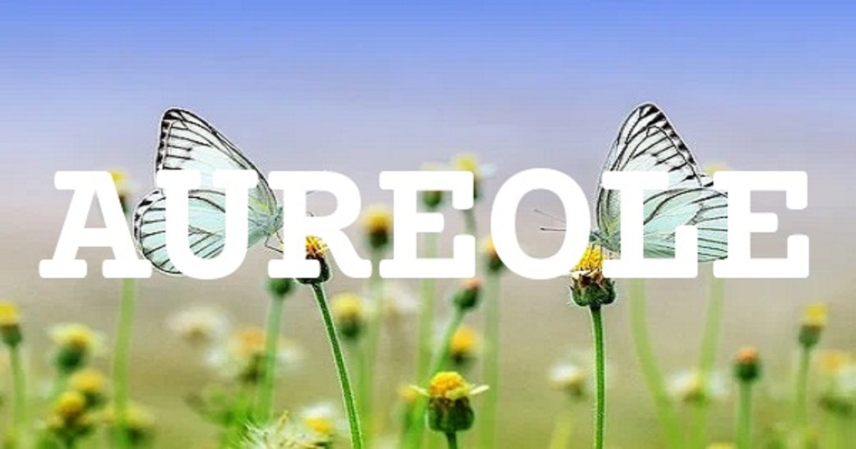 AUREOLE 英文名字意義