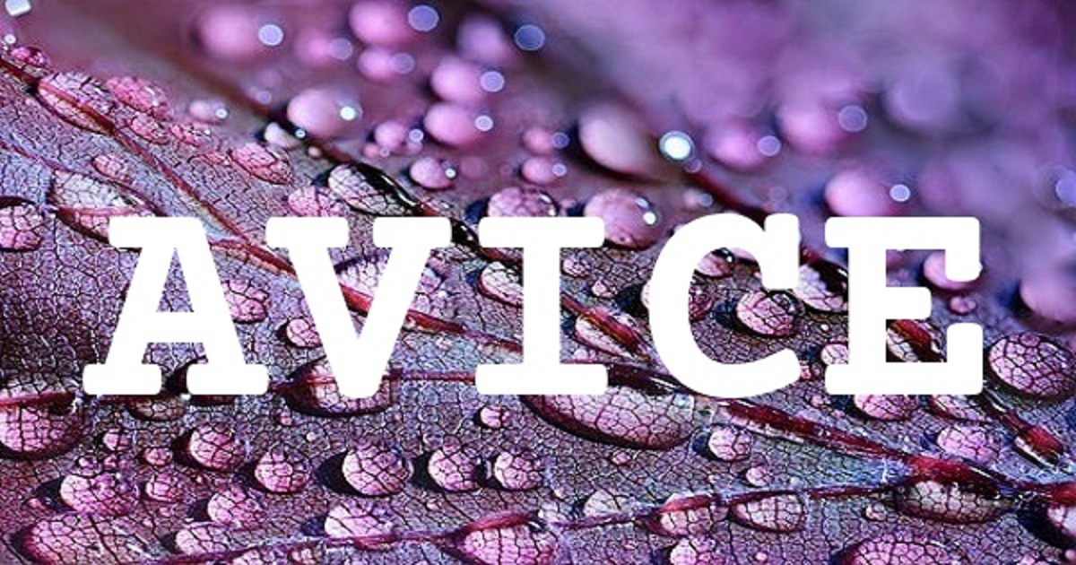 AVICE 英文名字意義