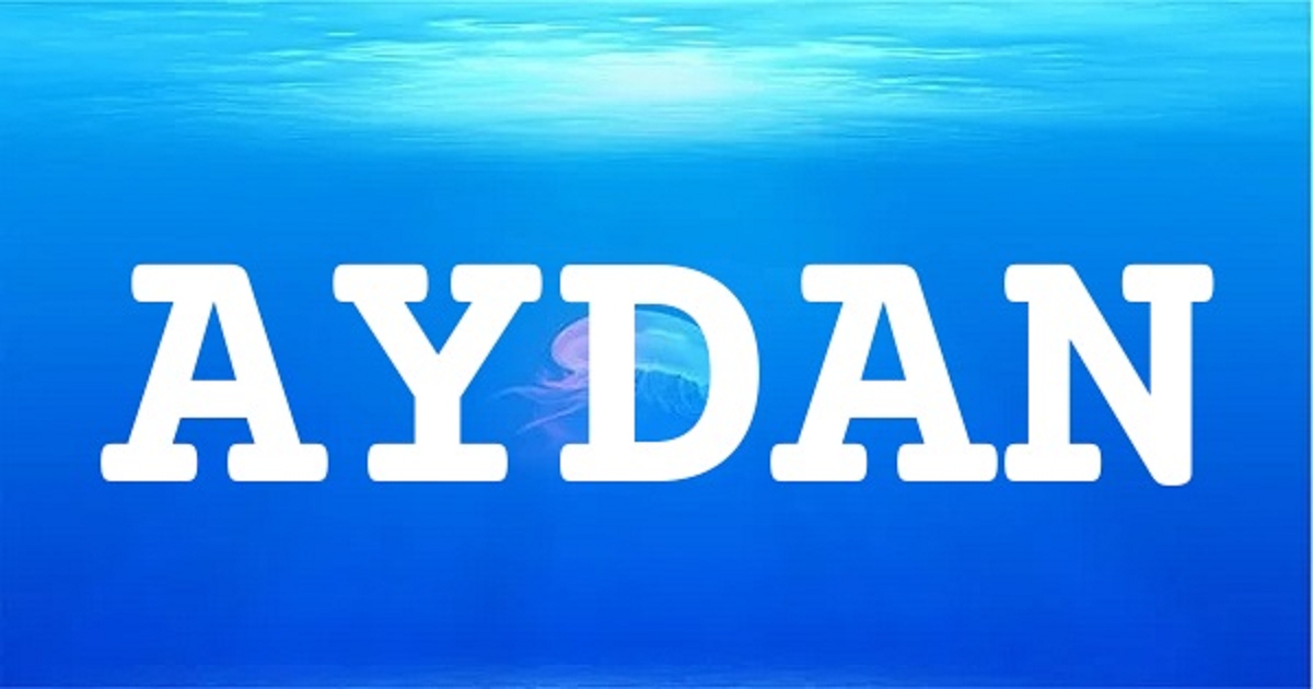 AYDAN 英文名字意義