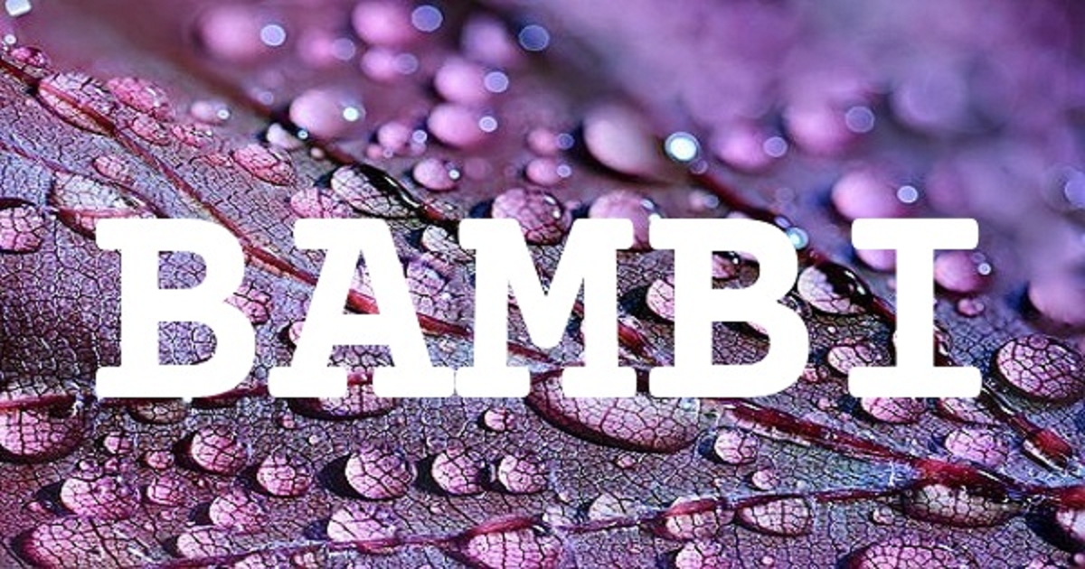 BAMBI 英文名字意義
