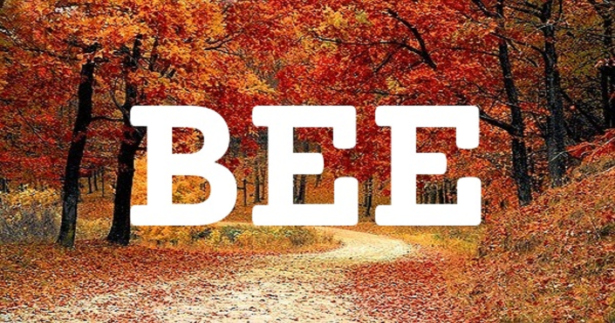 BEE 英文名字意義