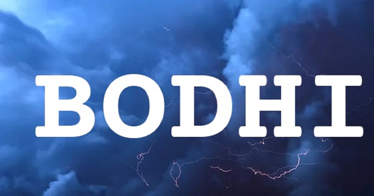BODHI 英文名字意義
