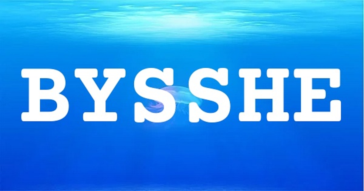 BYSSHE 英文名字意義