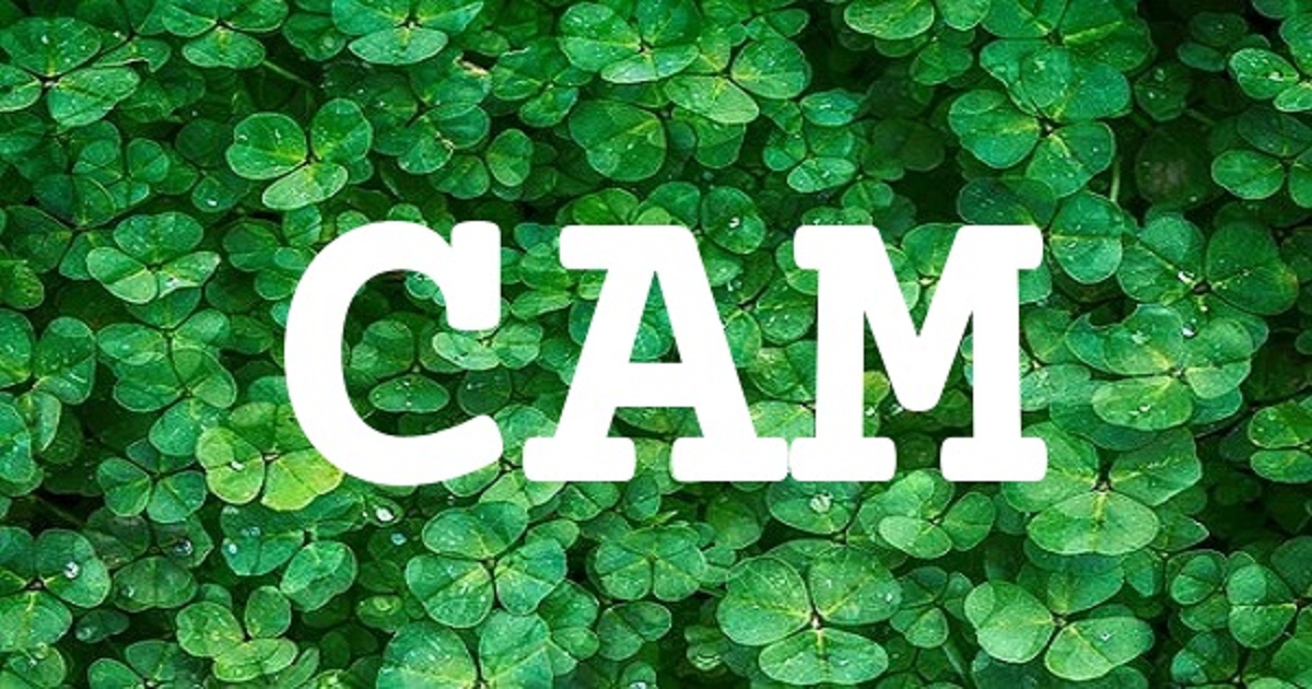 CAM 英文名字意義