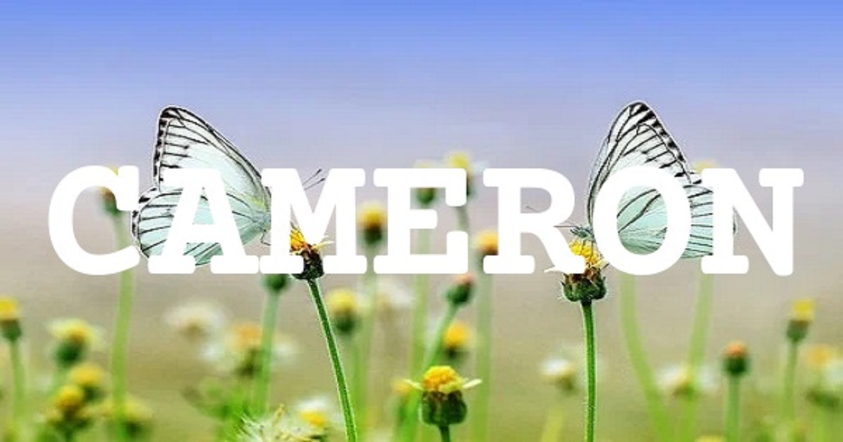 CAMERON 英文名字意義