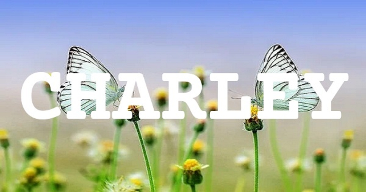 CHARLEY 英文名字意義