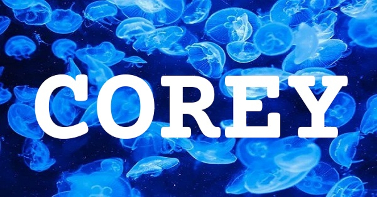 COREY 英文名字意義