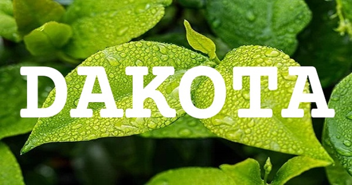 DAKOTA 英文名字意義