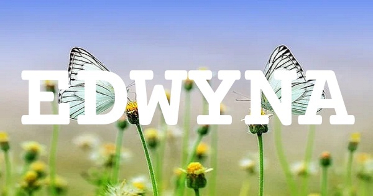 EDWYNA 英文名字意義