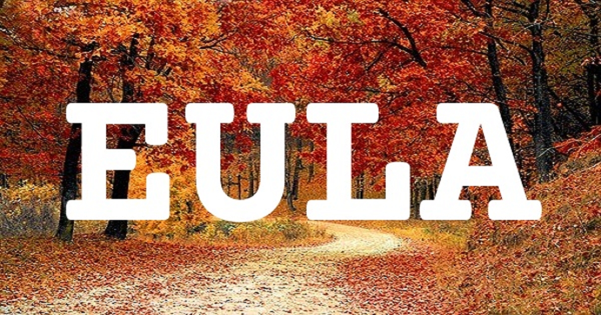 EULA 英文名字意義