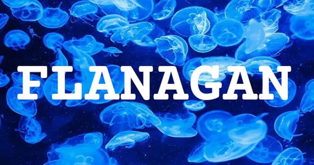 FLANAGAN 英文名字意義