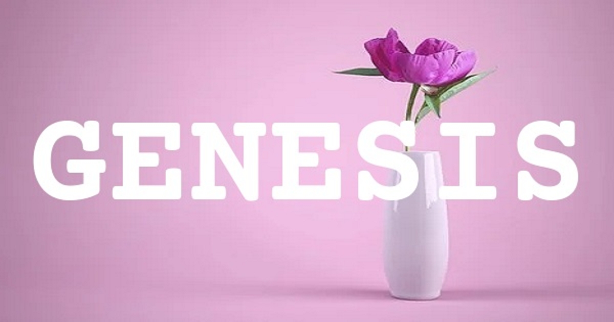 GENESIS 英文名字意義