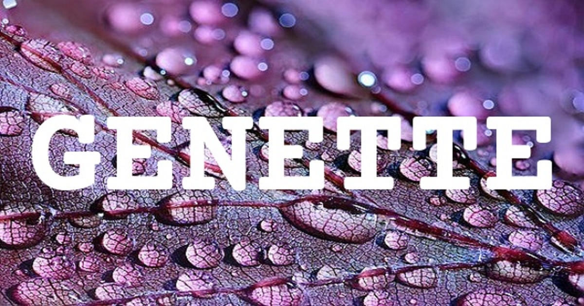 GENETTE 英文名字意義