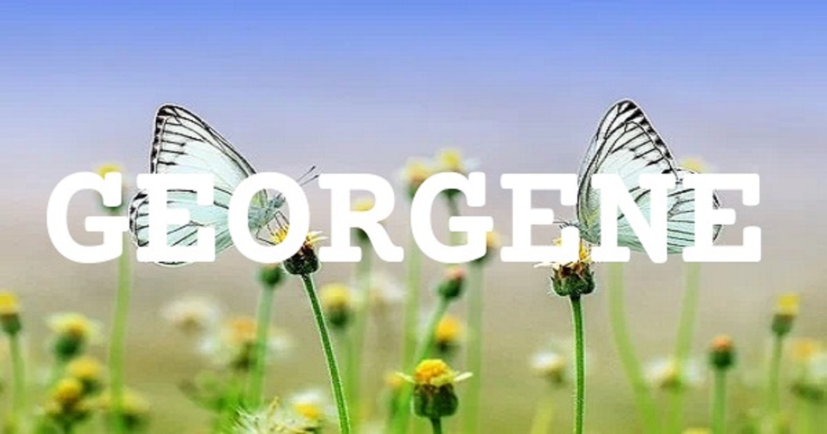 GEORGENE 英文名字意義