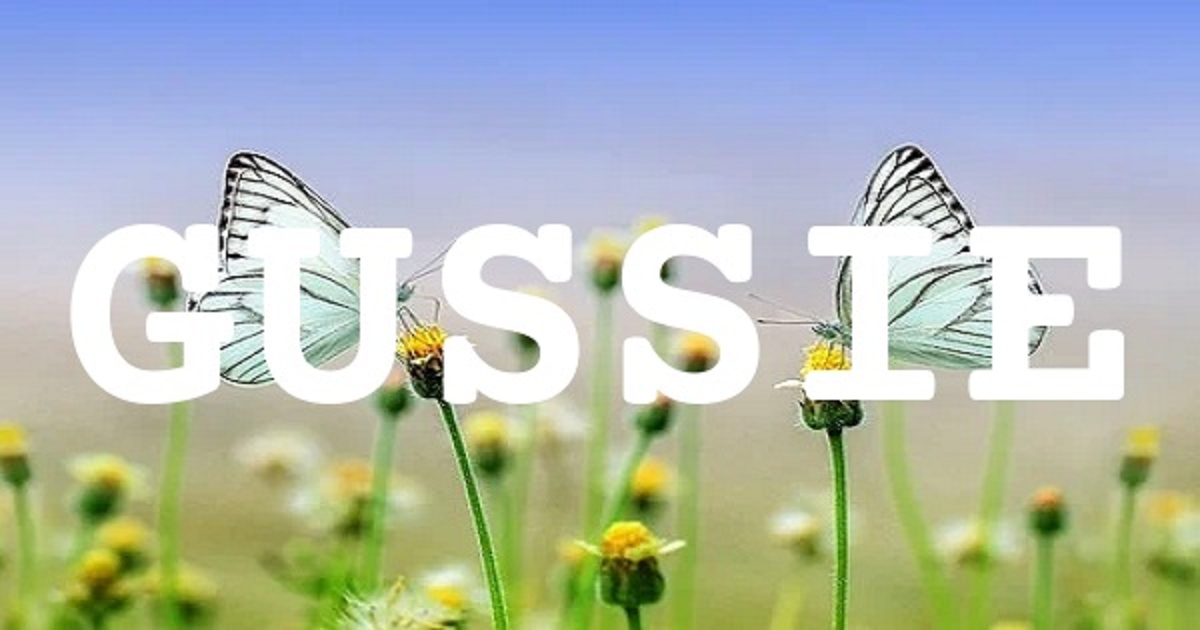 GUSSIE 英文名字意義