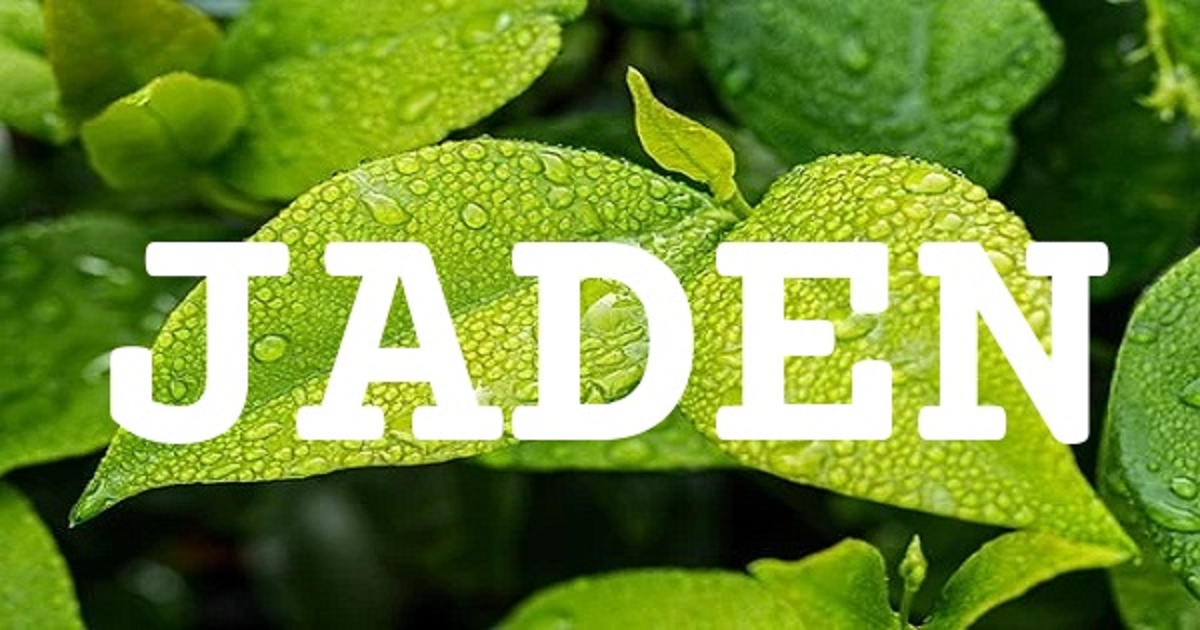 JADEN 英文名字意義
