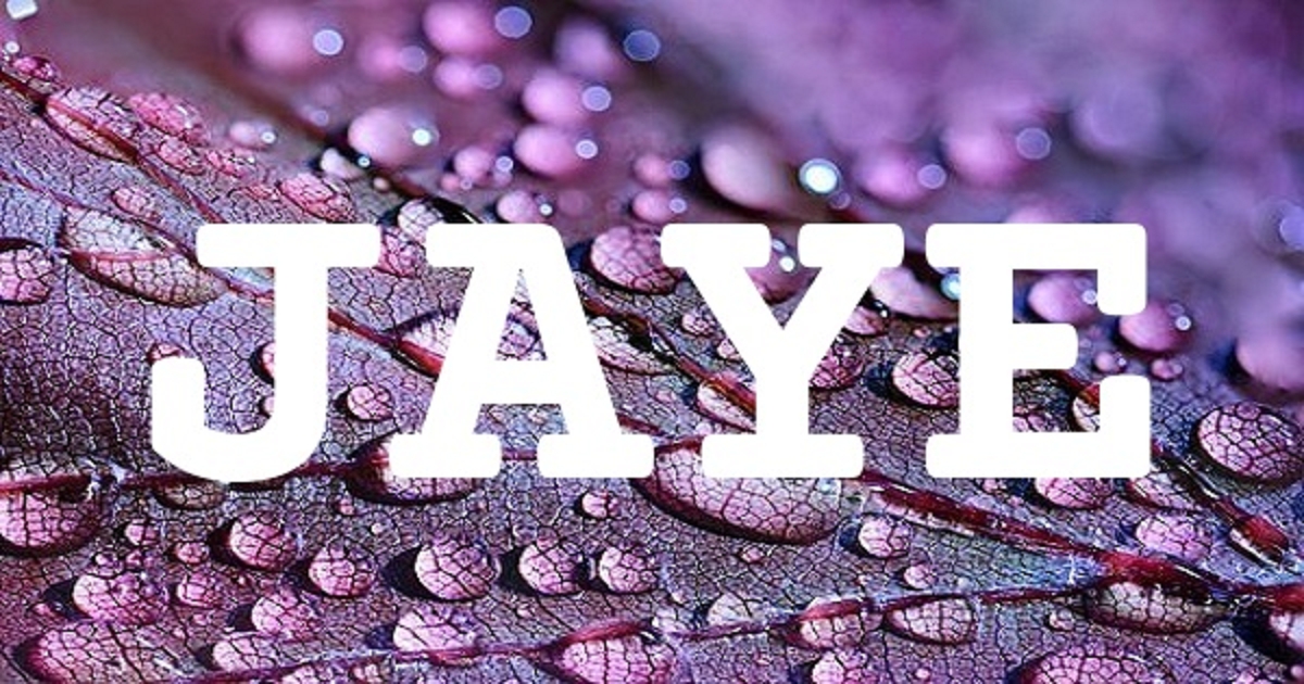 JAYE 英文名字意義