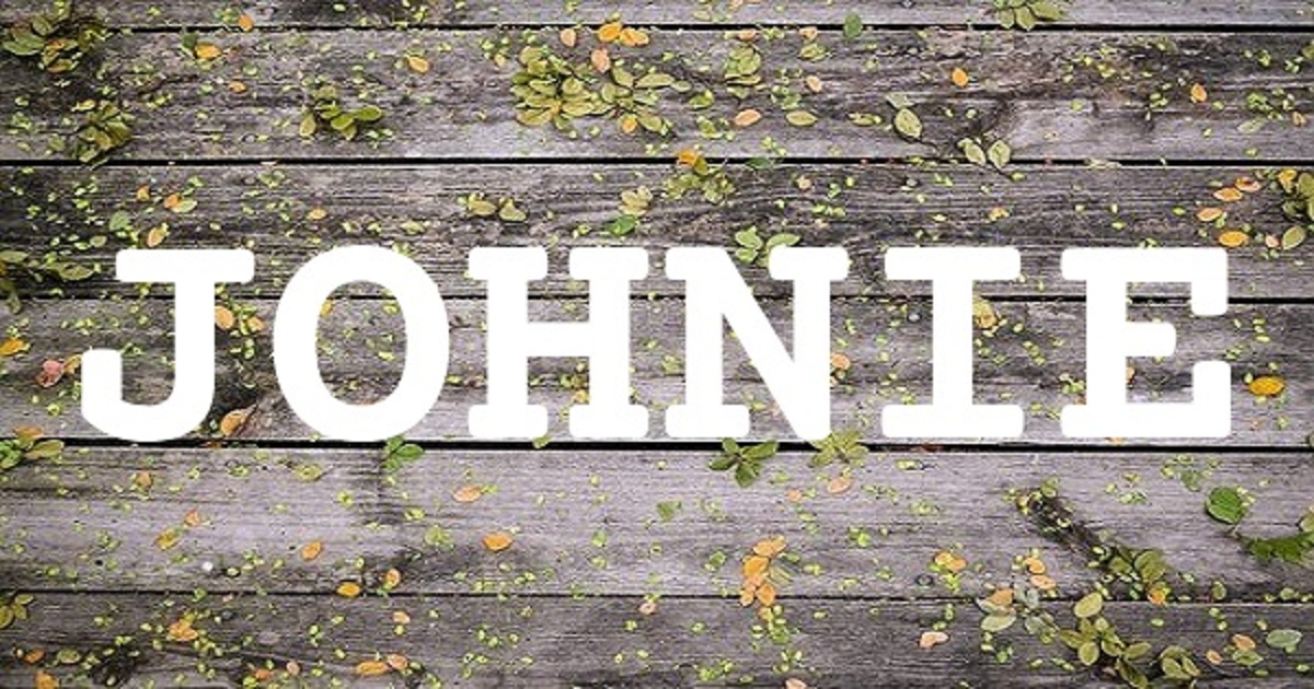 JOHNIE 英文名字意義