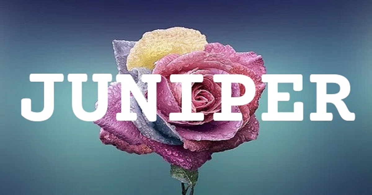JUNIPER 英文名字意義