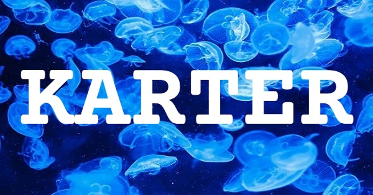 KARTER 英文名字意義