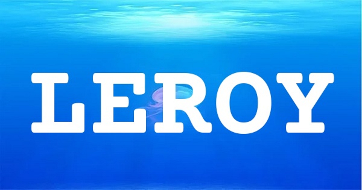 LEROY 英文名字意義