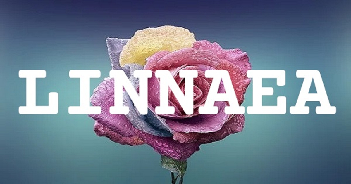 LINNAEA 英文名字意義