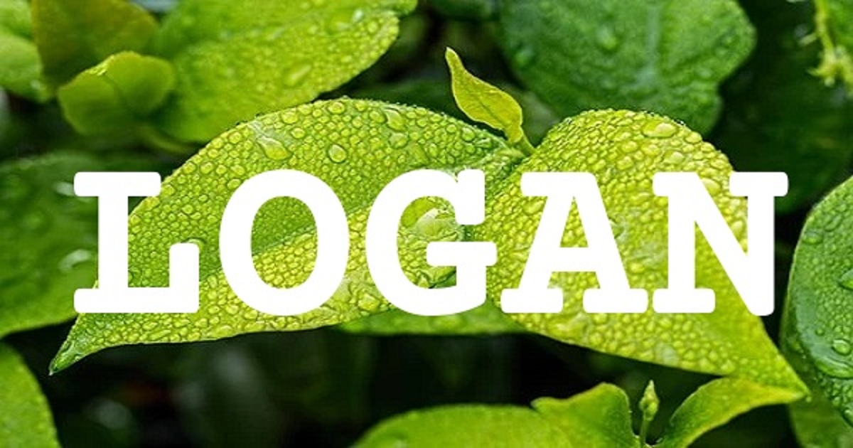 LOGAN 英文名字意義