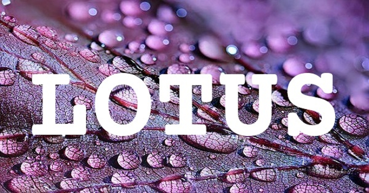 LOTUS 英文名字意義