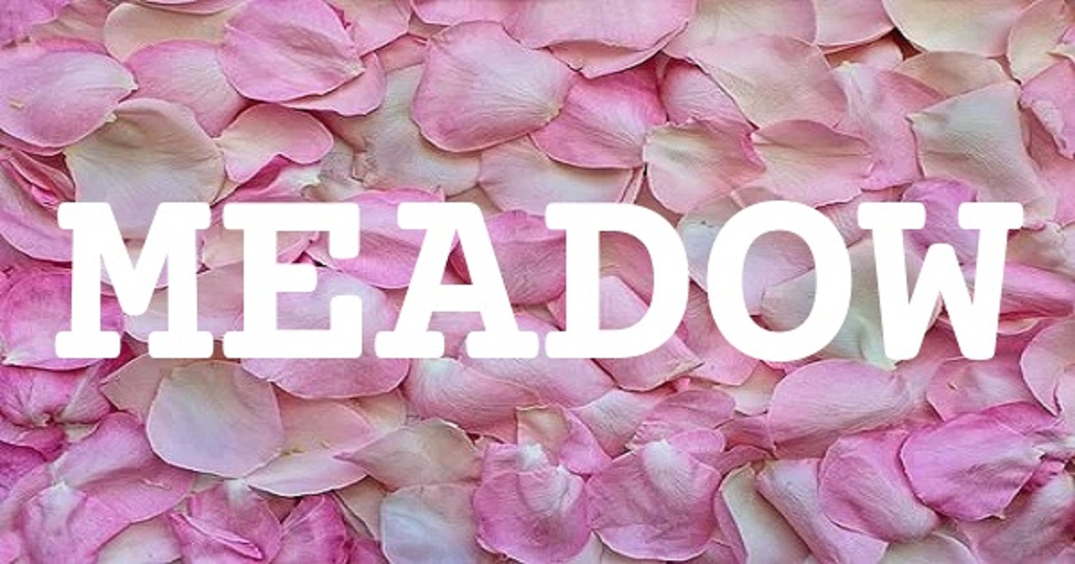 MEADOW 英文名字意義