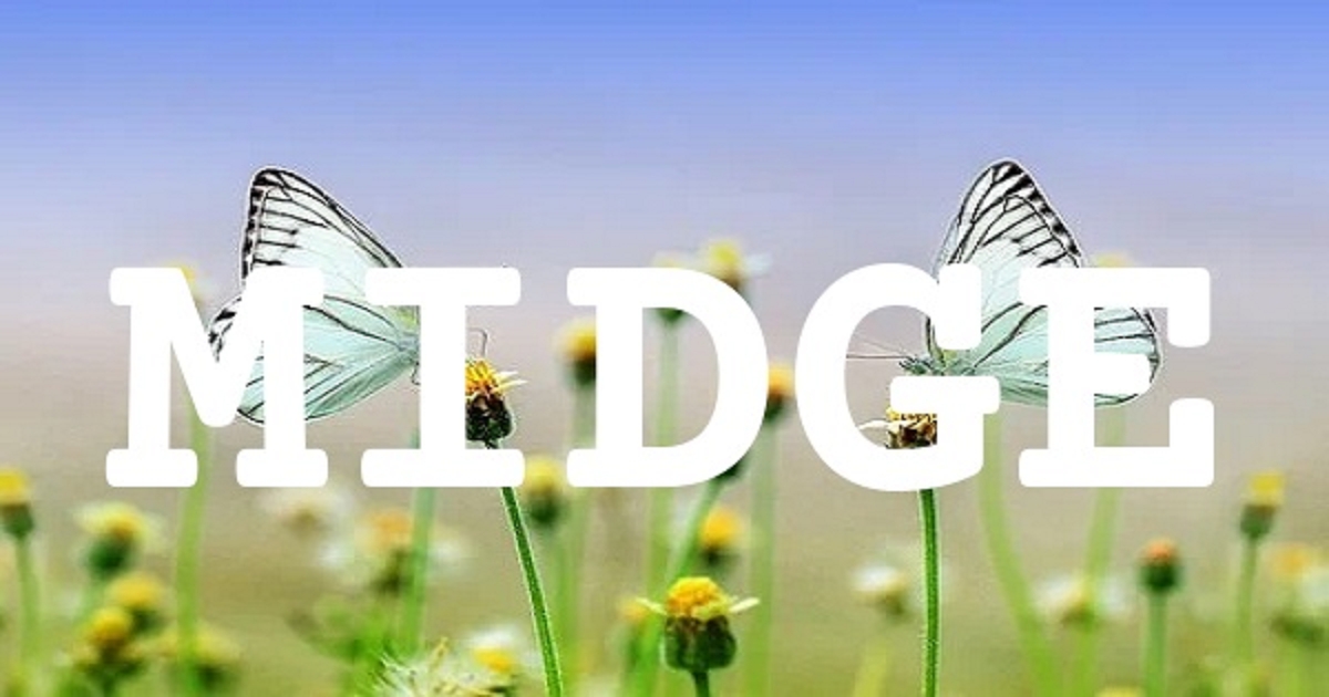 MIDGE 英文名字意義