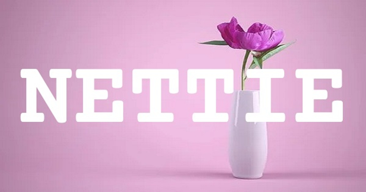 NETTIE 英文名字意義