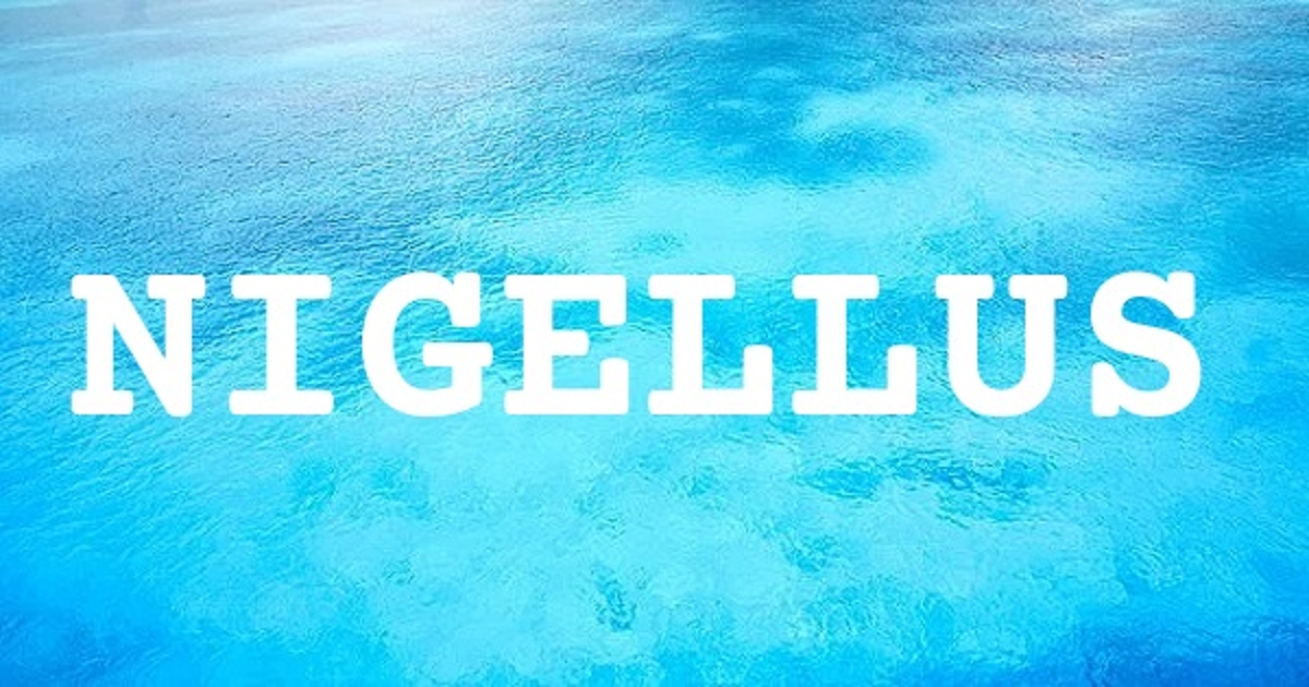 NIGELLUS 英文名字意義
