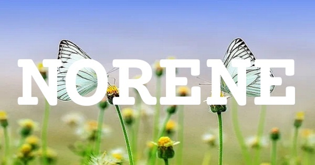 NORENE 英文名字意義