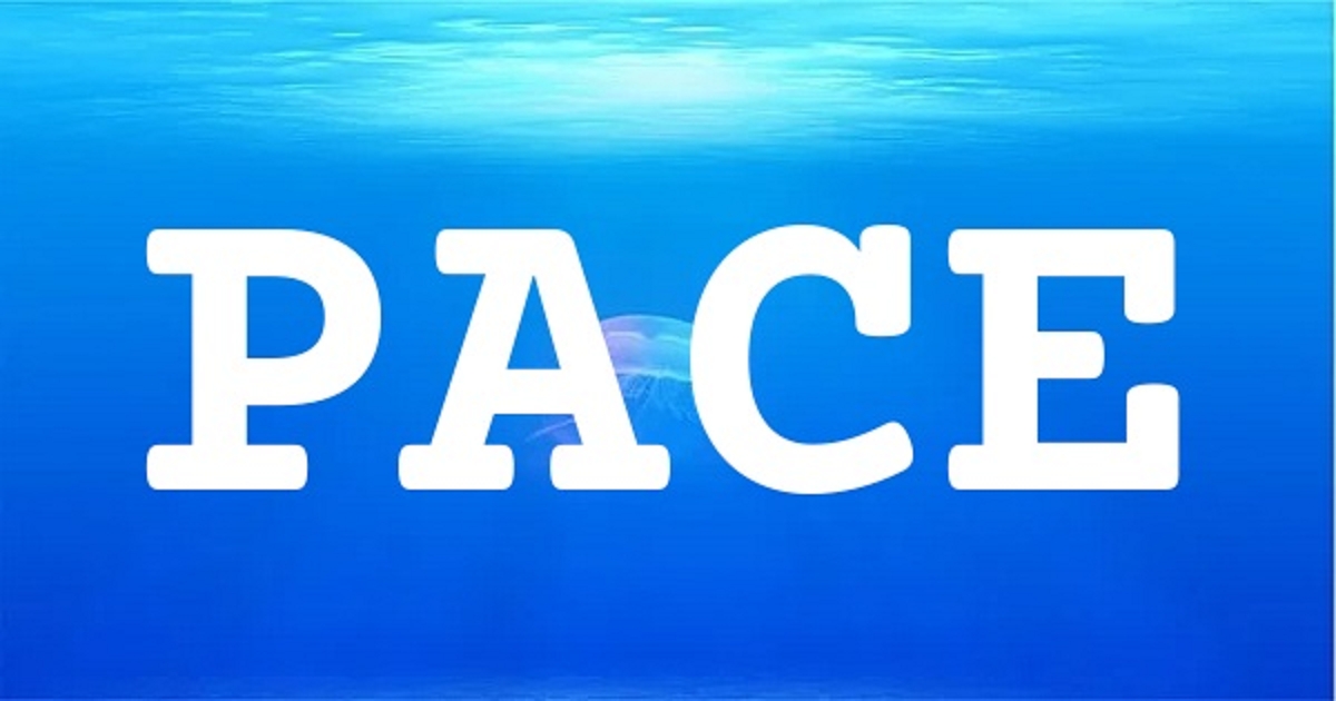 PACE 英文名字意義