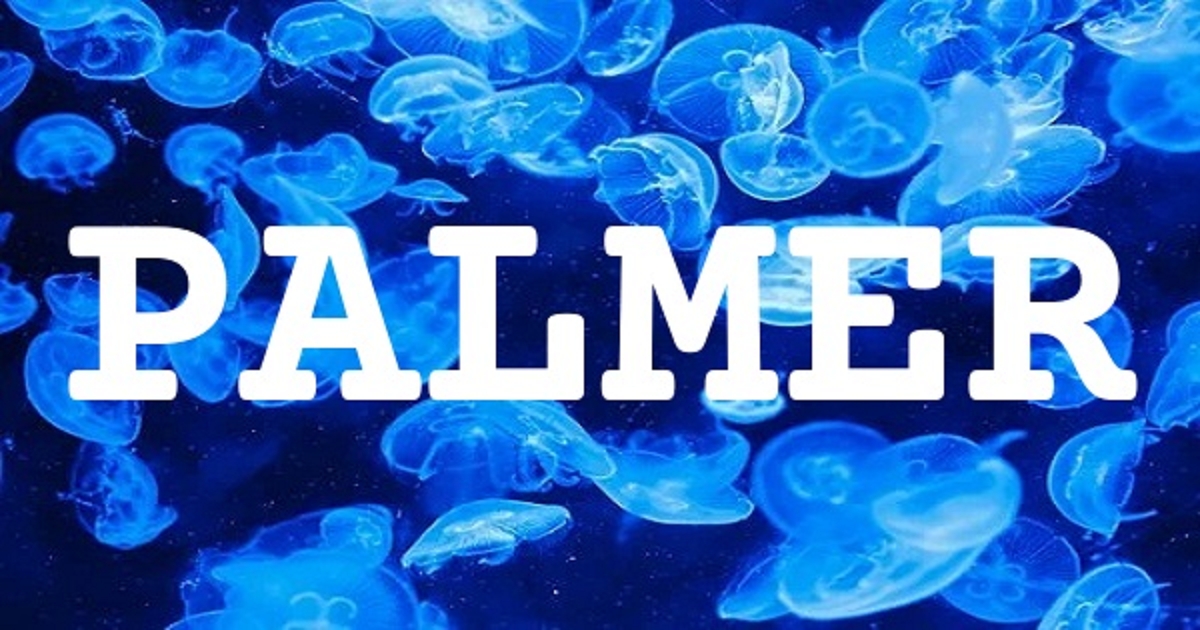 PALMER 英文名字意義