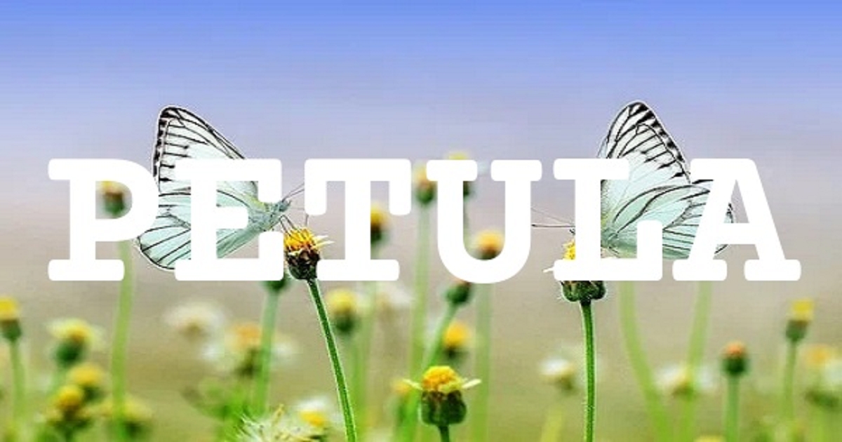 PETULA 英文名字意義