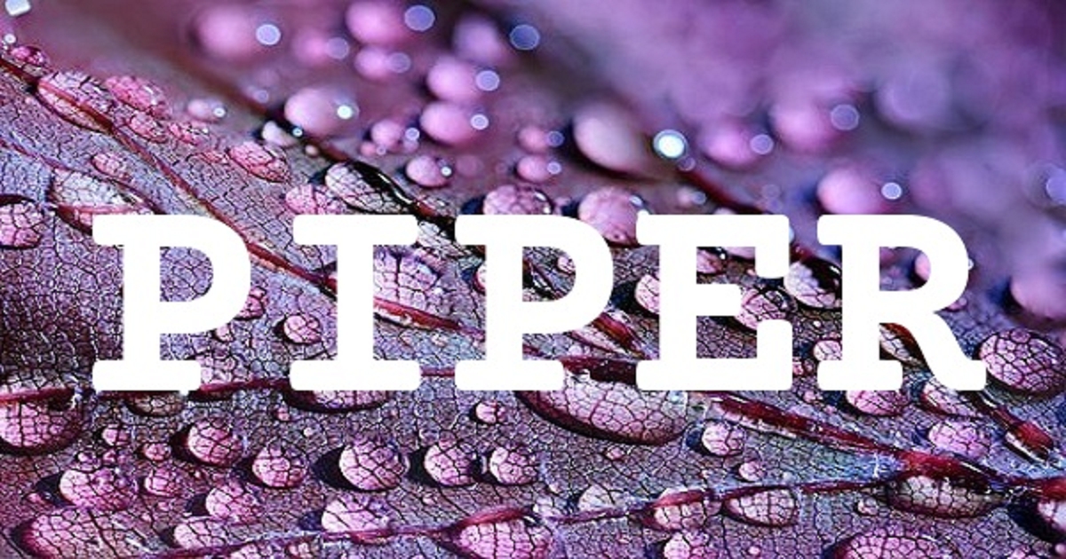 PIPER 英文名字意義