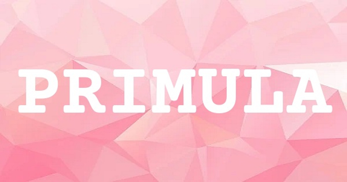 PRIMULA 英文名字意義