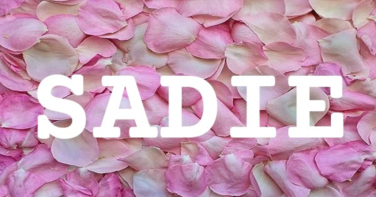 SADIE 英文名字意義