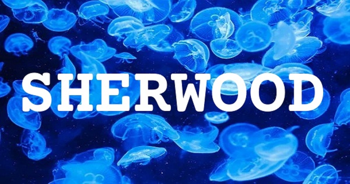 SHERWOOD 英文名字意義