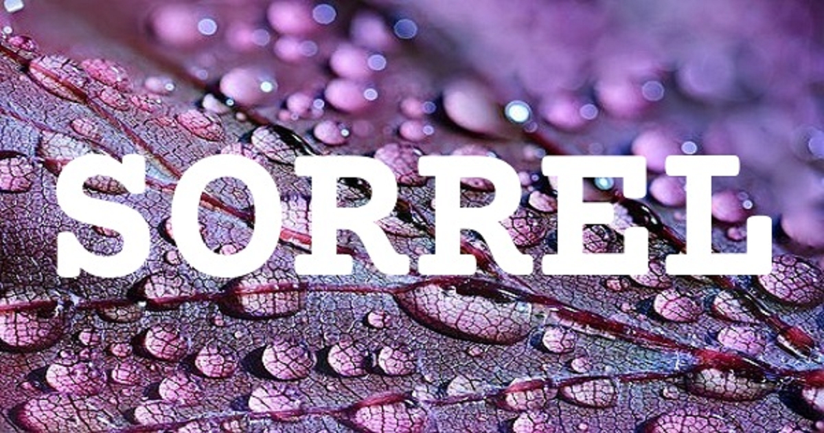 SORREL 英文名字意義
