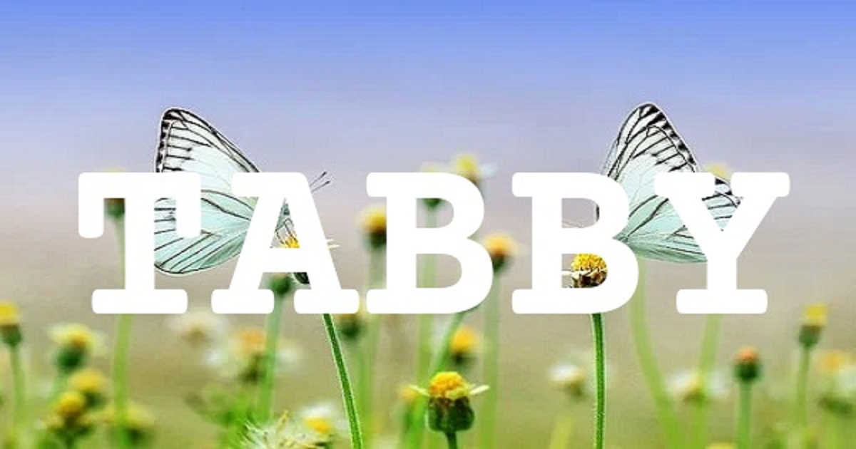 TABBY 英文名字意義