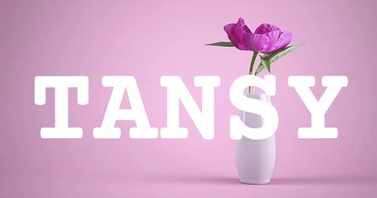 TANSY 英文名字意義
