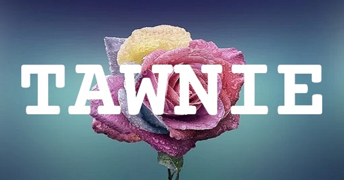 TAWNIE 英文名字意義