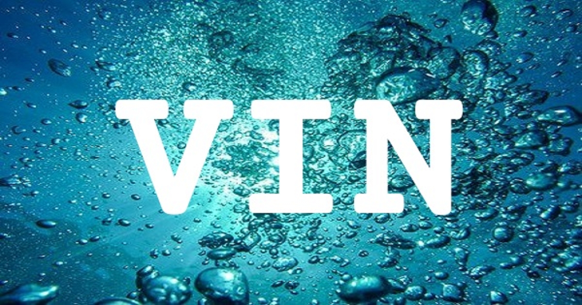 VIN 英文名字意義