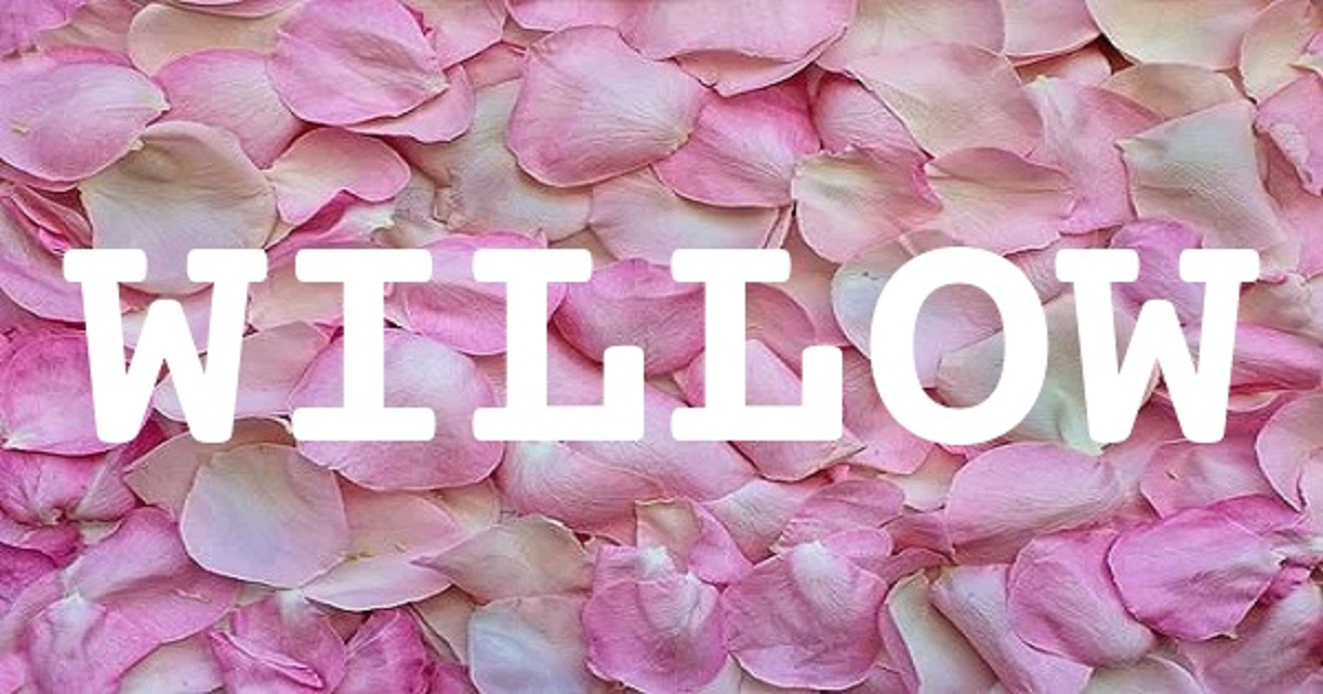 WILLOW 英文名字意義