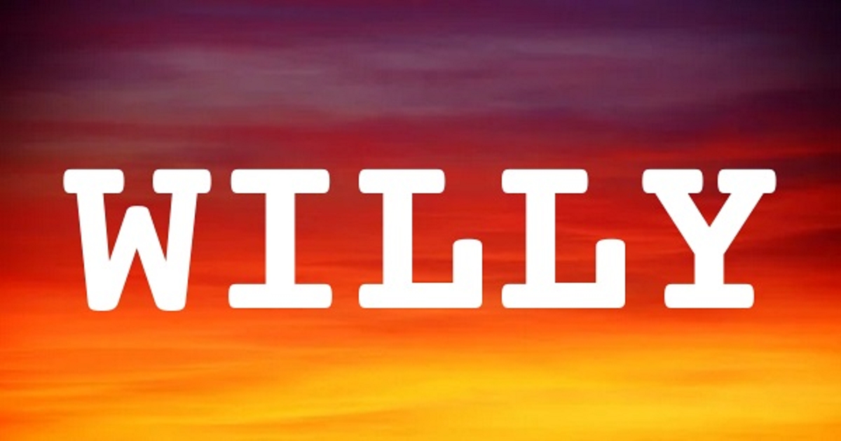 WILLY 英文名字意義
